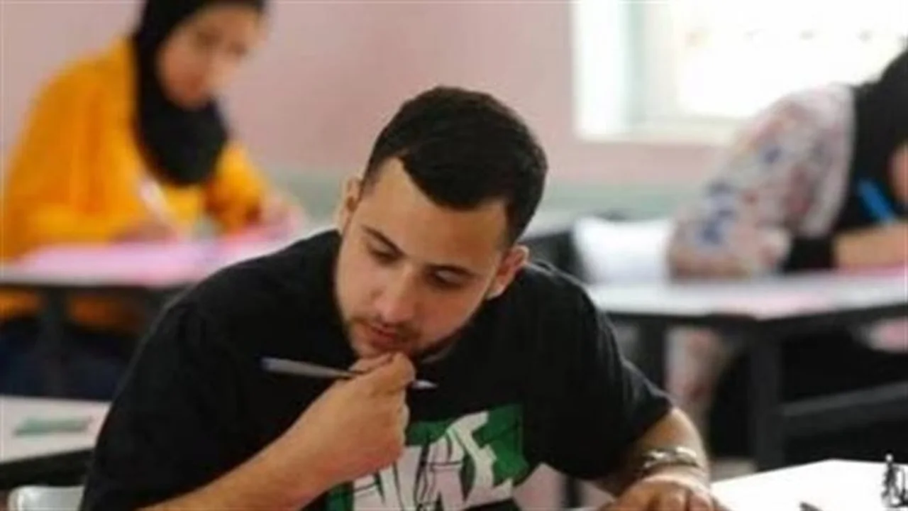 استعلم الآن.. نتيجة الدبلومات الفنية 2026 برقم الجلوس لجميع التخصصات